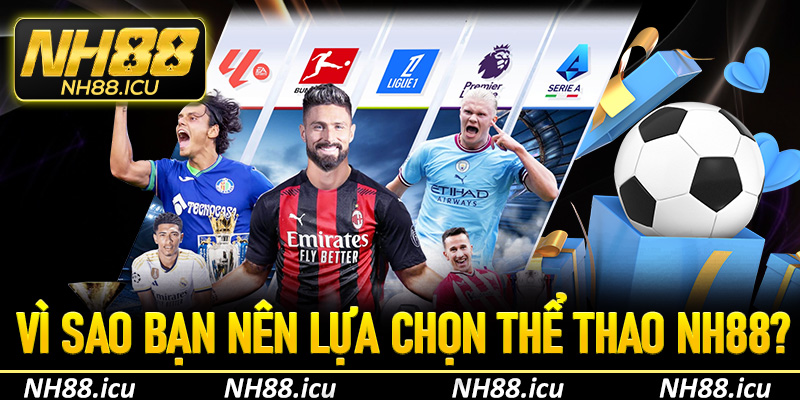 Lý do vì sao bạn nên lựa chọn thể thao NH88 để cá cược?
