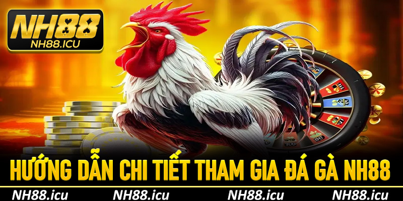 Hướng dẫn chi tiết cách chơi và đặt cược đá gà NH88
