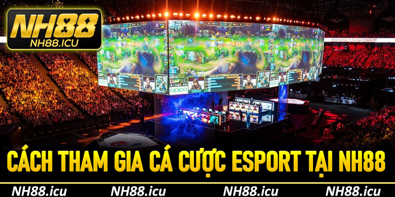 Cách tham gia cá cược esport tại NH88